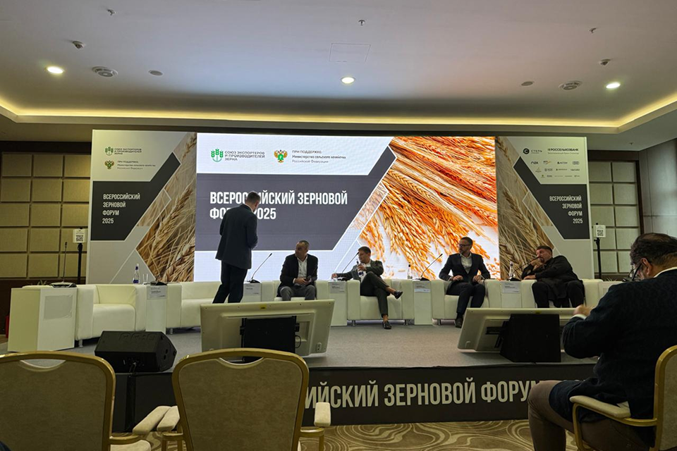 главня (1).png